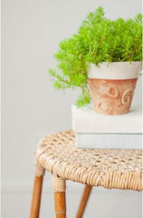 Natural Rattan Accent Table Stylish Accent Table in Any Room of the House