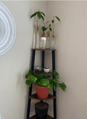 Rustic Brown Steel Corner Bookcase Fan-Shaped Shelves Perfect for Storing any Items you Want to Collect and Display