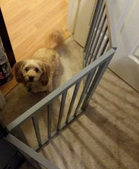 White 3-Panel Free Standing Pet Gate Great Blocking Doorways, Hallways and Stairs The Plastic Feet Protection for your Flooring