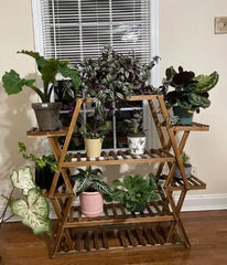 Plant Stand Multilayer Space for Displaying your Lovely Bonsai Plants will Brighten up your Indoor Living Space Multi-Tiers