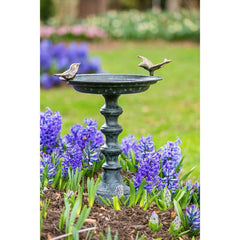 Birdbath Give your Neighborhood Birds a Home Away from Home with Water to Support your Feathered Friends