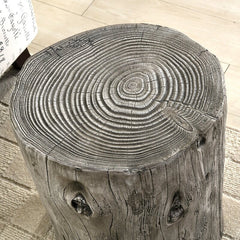 Weathered Gray Tree Stump End Table for your Indoor or Outdoor Living Space Should Reflect your Personality and Style to Any Setting