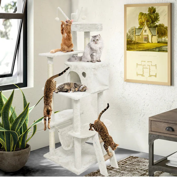 62" Avfesh Cat Tree with Scratching Posts Playing and Relaxing