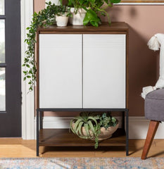 2 - Door Accent Cabinet Perfect chic addition to your Modern home